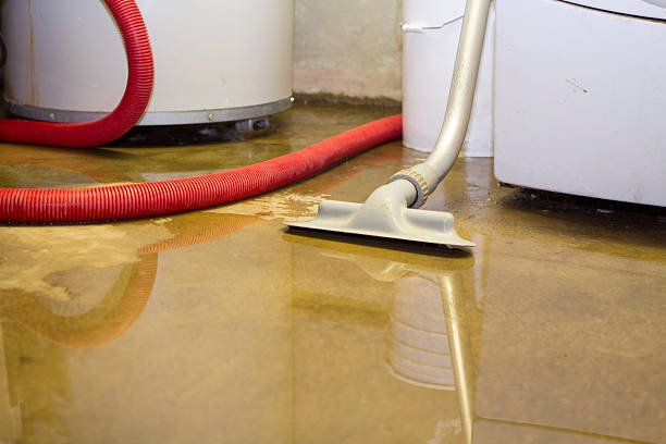 Best Local water damage restoration  in USA