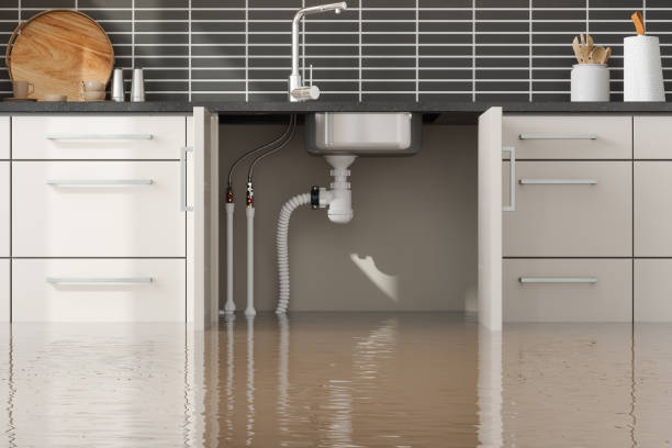 Best Water damage contractors near me  in USA